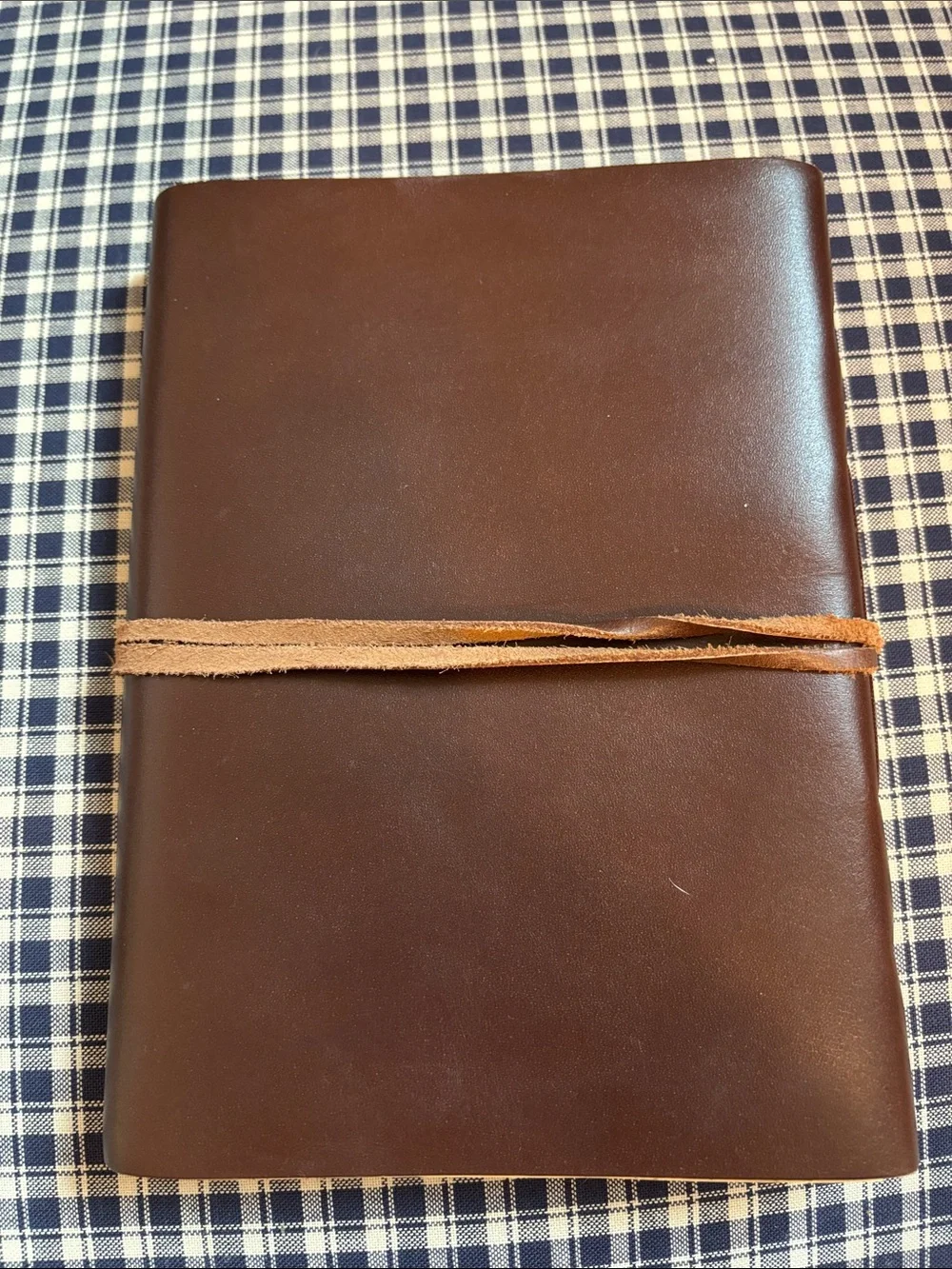 Barnes & Noble Dark Brown Leather Wrap Journal